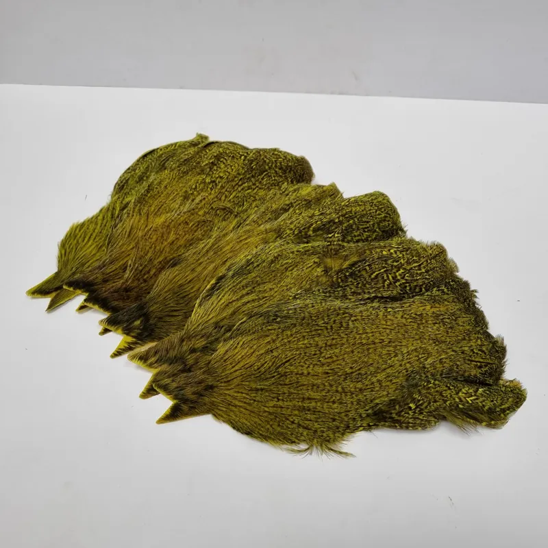 Whiting Coq de Leon Hen Cape in Speckled Fl.Yellow Chartreuse-4